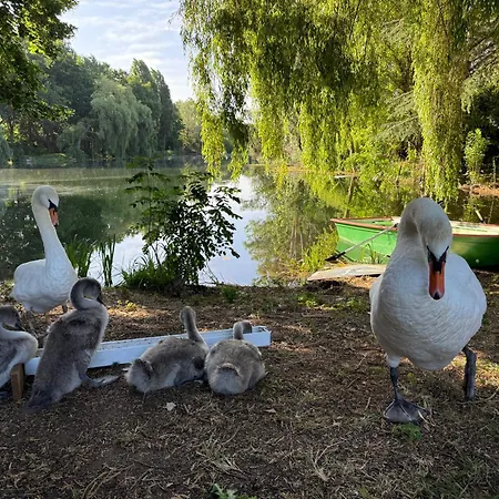 Hpn 2025 Au Bord Du