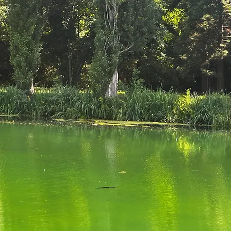 Hpn 2025 Au Bord Du
